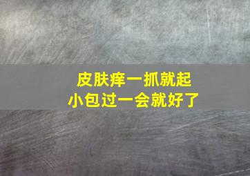 皮肤痒一抓就起小包过一会就好了