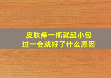 皮肤痒一抓就起小包过一会就好了什么原因