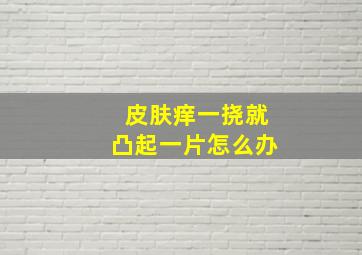 皮肤痒一挠就凸起一片怎么办