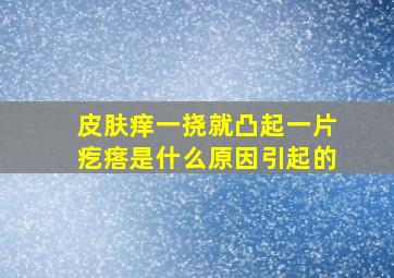 皮肤痒一挠就凸起一片疙瘩是什么原因引起的