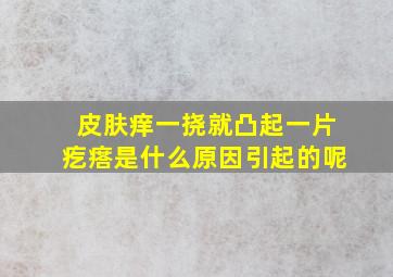 皮肤痒一挠就凸起一片疙瘩是什么原因引起的呢