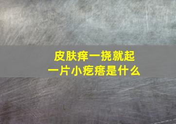 皮肤痒一挠就起一片小疙瘩是什么