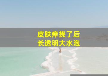 皮肤痒挠了后长透明大水泡