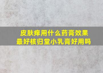 皮肤痒用什么药膏效果最好核归堂小乳膏好用吗