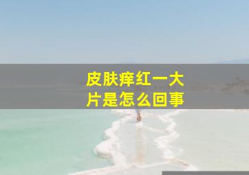 皮肤痒红一大片是怎么回事