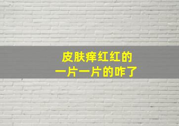 皮肤痒红红的一片一片的咋了