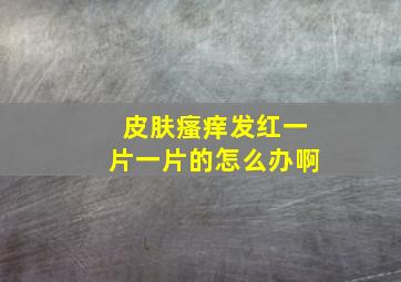 皮肤瘙痒发红一片一片的怎么办啊