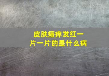 皮肤瘙痒发红一片一片的是什么病