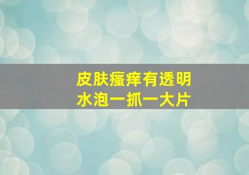 皮肤瘙痒有透明水泡一抓一大片