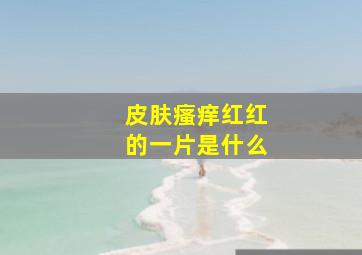 皮肤瘙痒红红的一片是什么