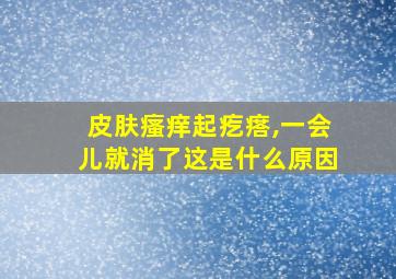 皮肤瘙痒起疙瘩,一会儿就消了这是什么原因