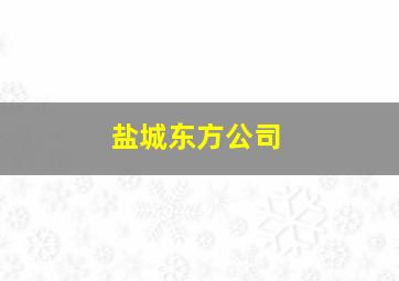 盐城东方公司