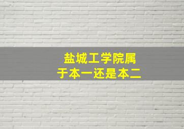 盐城工学院属于本一还是本二