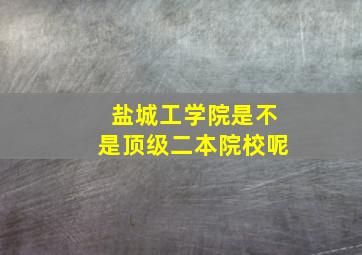 盐城工学院是不是顶级二本院校呢