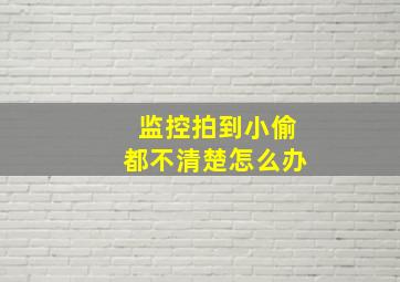 监控拍到小偷都不清楚怎么办