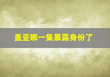 盖亚哪一集暴露身份了