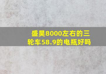 盛昊8000左右的三轮车58.9的电瓶好吗