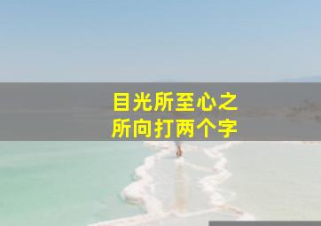 目光所至心之所向打两个字