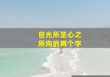 目光所至心之所向的两个字