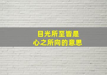 目光所至皆是心之所向的意思