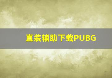 直装辅助下载PUBG