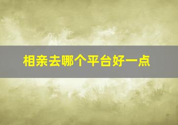 相亲去哪个平台好一点