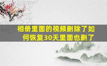 相册里面的视频删除了如何恢复30天里面也删了