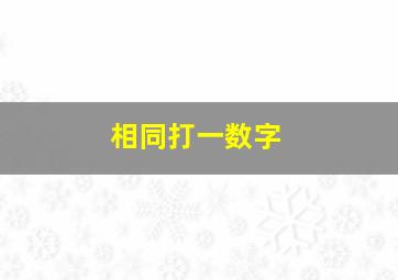 相同打一数字