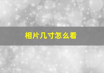 相片几寸怎么看