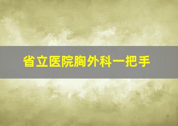 省立医院胸外科一把手