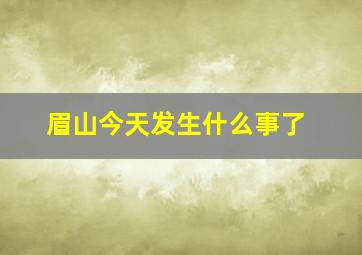 眉山今天发生什么事了