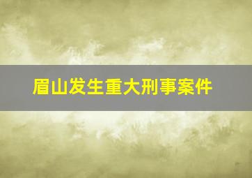 眉山发生重大刑事案件