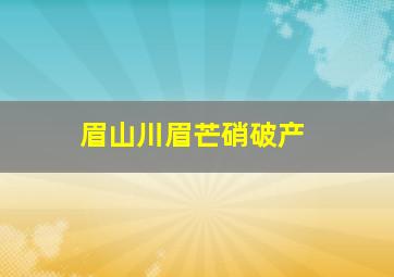 眉山川眉芒硝破产