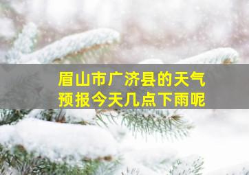 眉山市广济县的天气预报今天几点下雨呢