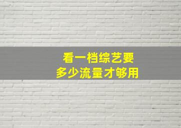 看一档综艺要多少流量才够用