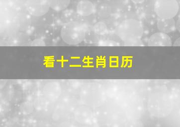 看十二生肖日历