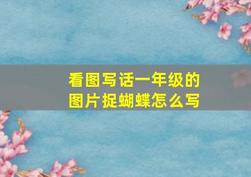 看图写话一年级的图片捉蝴蝶怎么写