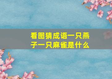 看图猜成语一只燕子一只麻雀是什么