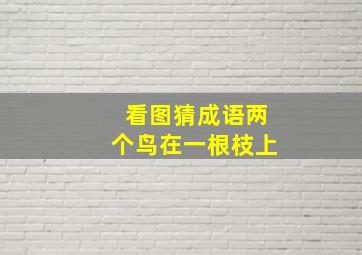 看图猜成语两个鸟在一根枝上