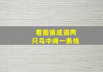 看图猜成语两只鸟中间一条线