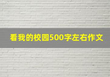 看我的校园500字左右作文