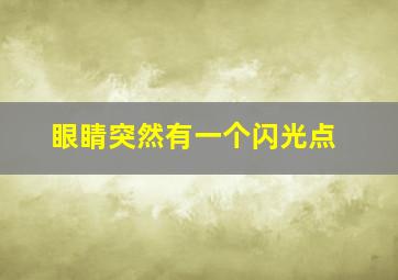 眼睛突然有一个闪光点