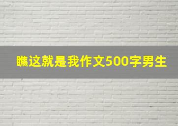 瞧这就是我作文500字男生