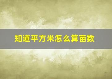 知道平方米怎么算亩数