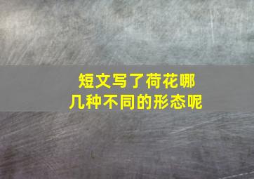 短文写了荷花哪几种不同的形态呢