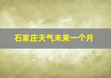 石家庄天气未来一个月