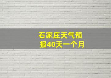 石家庄天气预报40天一个月