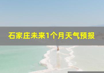 石家庄未来1个月天气预报