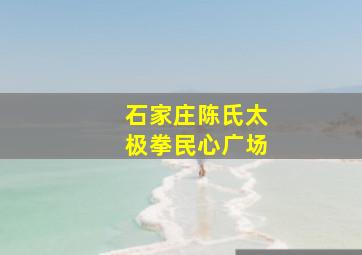 石家庄陈氏太极拳民心广场