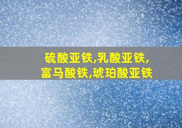 硫酸亚铁,乳酸亚铁,富马酸铁,琥珀酸亚铁